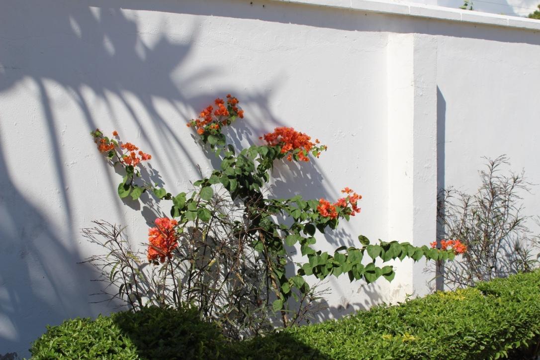 Idc Guest House 바가모요 외부 사진